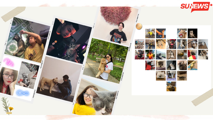 Hội thú cưng nhà Sun*: Hàng tá chuyện muốn tiền đình vì nuôi "boss", làm "sen"