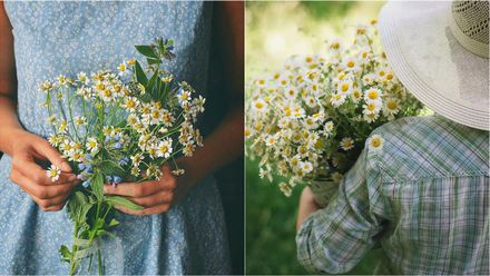 Nỗi buồn cũng đẹp như một đóa hoa