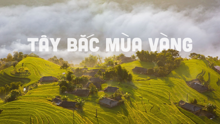 Ngắm trọn vẻ đẹp nên thơ của Tây Bắc "mùa vàng"