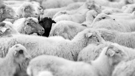 Đừng nói mục tiêu của tôi không tham vọng, có thể bạn chưa hiểu rõ chúng mà thôi!