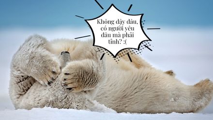 #KPTDM: Buồn nào rồi cũng sẽ qua, chỉ có buồn ngủ không tha ngày nào!