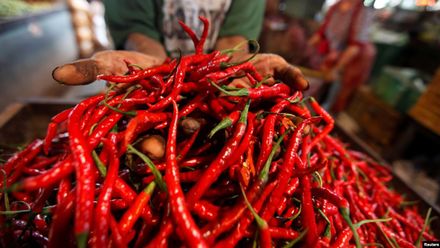 Quan điểm 'lạ' về chuyện bán ớt của developer khiến nhiều người bất ngờ